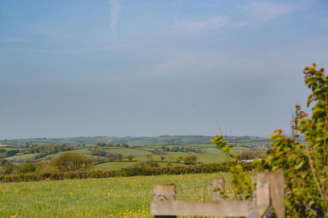 Maes Y Mel- A Couples, Pet Friendly, Rural Romantic Getaway With Countryside Views Gellywen Екстериор снимка