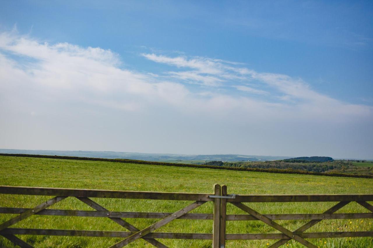 Maes Y Mel- A Couples, Pet Friendly, Rural Romantic Getaway With Countryside Views Gellywen Екстериор снимка