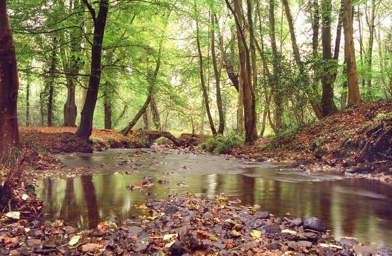 Maes Y Mel- A Couples, Pet Friendly, Rural Romantic Getaway With Countryside Views Gellywen Екстериор снимка